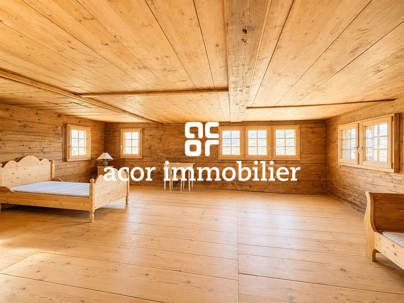 Un site d'exception au coeur de la montagne, au potentiel remarquable (5)