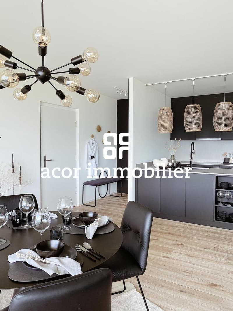 Zu vermieten - Superbe Apartment 3.5 Zimmer möbliert mit großer Terrasse (2)