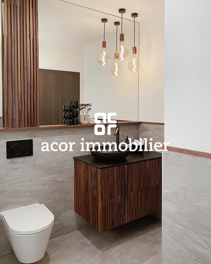 Zu vermieten - Superbe Apartment 3.5 Zimmer möbliert mit großer Terrasse (8)