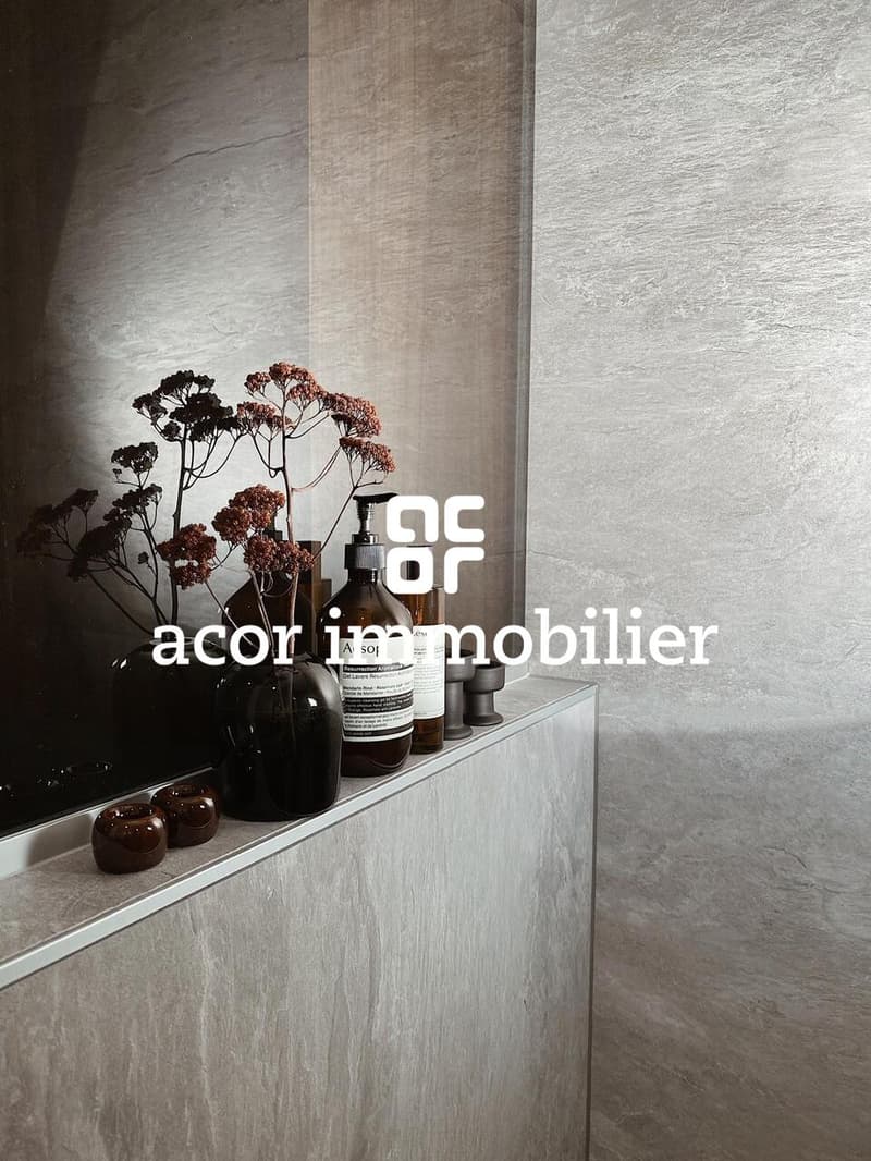 Zu vermieten - Superbe Apartment 3.5 Zimmer möbliert mit großer Terrasse (10)