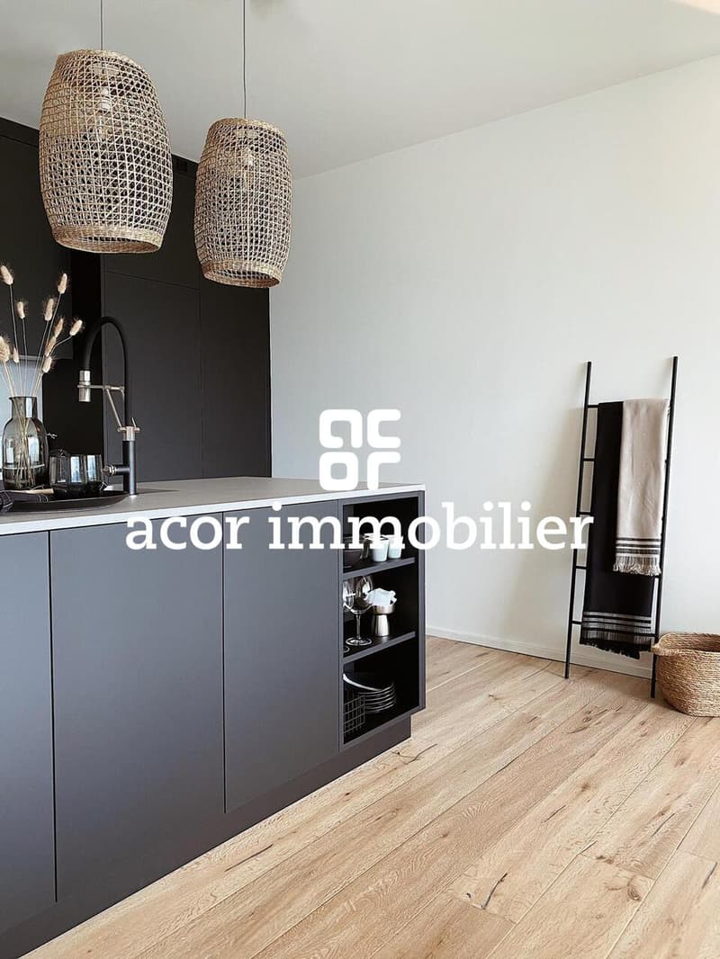 Zu vermieten - Superbe Apartment 3.5 Zimmer möbliert mit großer Terrasse (1)
