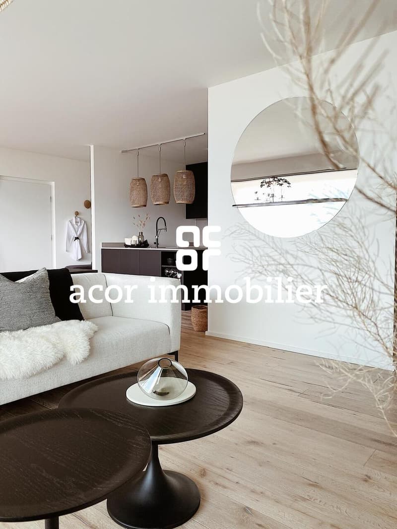 Zu vermieten - Superbe Apartment 3.5 Zimmer möbliert mit großer Terrasse (4)