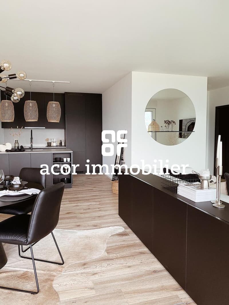 Zu vermieten - Superbe Apartment 3.5 Zimmer möbliert mit großer Terrasse (3)