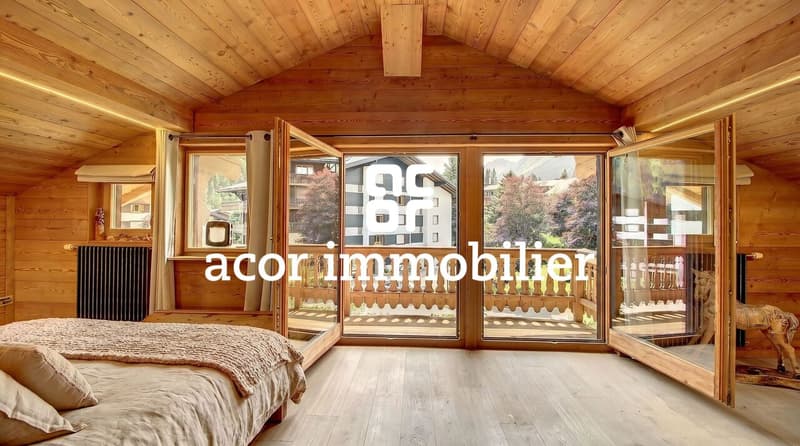 CHALET SKI-IN/SKI-OUT DE 3 APPARTEMENTS (2)
