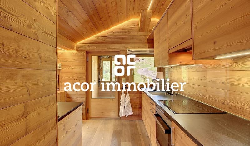 CHALET SKI-IN/SKI-OUT DE 3 APPARTEMENTS (5)
