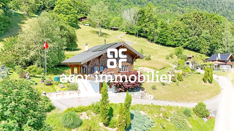 Ein charmantes 5,5-Zimmer-Chalet zwischen Natur und Serenität (1)