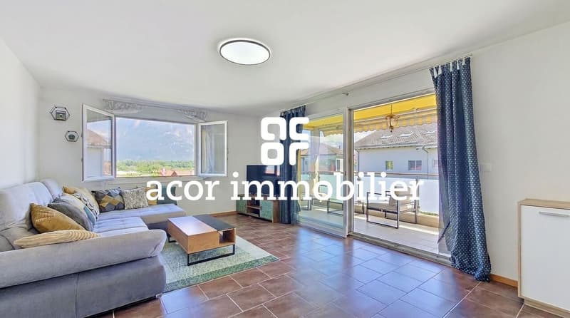 Apartment 4.5 rooms with mountain view (1)