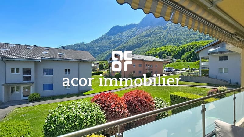 Apartment 4.5 rooms with mountain view (2)