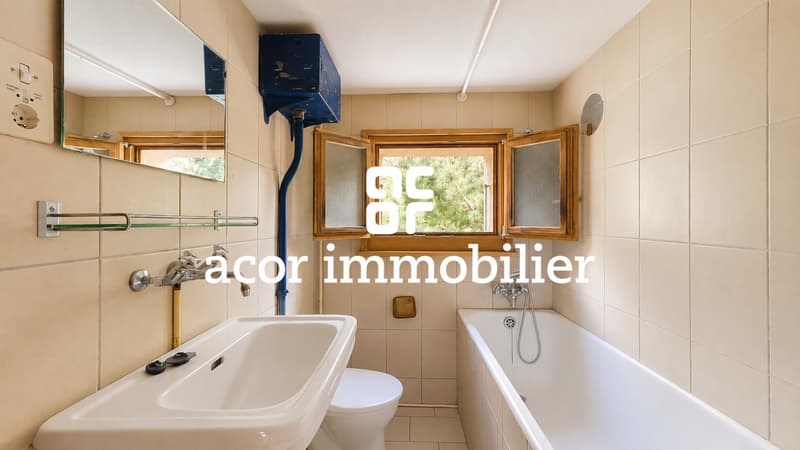 Chalet de caractère à réinventer dans un cadre alpin exceptionnel (6)
