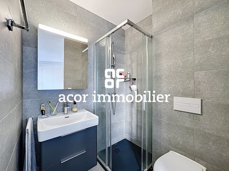 Sion ouest - Appartement 2½ indépendant avec grande terrasse (8)