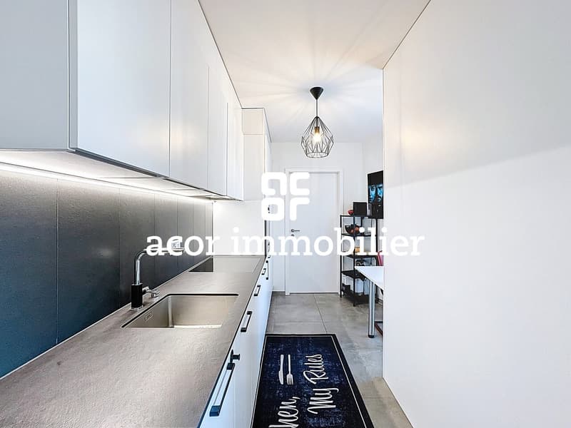 Sion ouest - Appartement 2½ indépendant avec grande terrasse (4)
