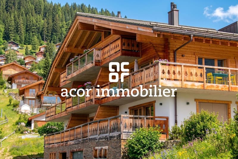 Haute-Nendaz - 3½ récent disponible en résidence secondaire (2)
