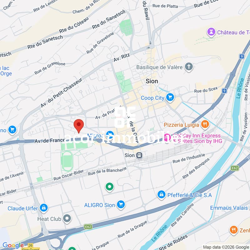SION CENTRE - 4,5 PIÈCES DE 201 M² - JARDIN DE 106 M²- TERRASSES - SUD (6)