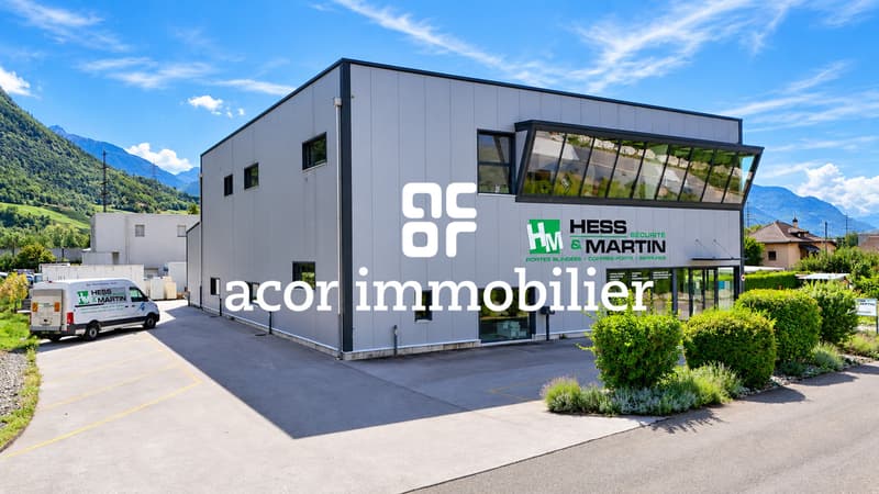 Halle commercial et industriel aux portes de Sion (1)