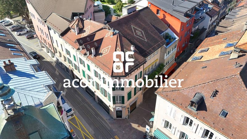 Maison de prestige avec commerce situation d'exception (1)