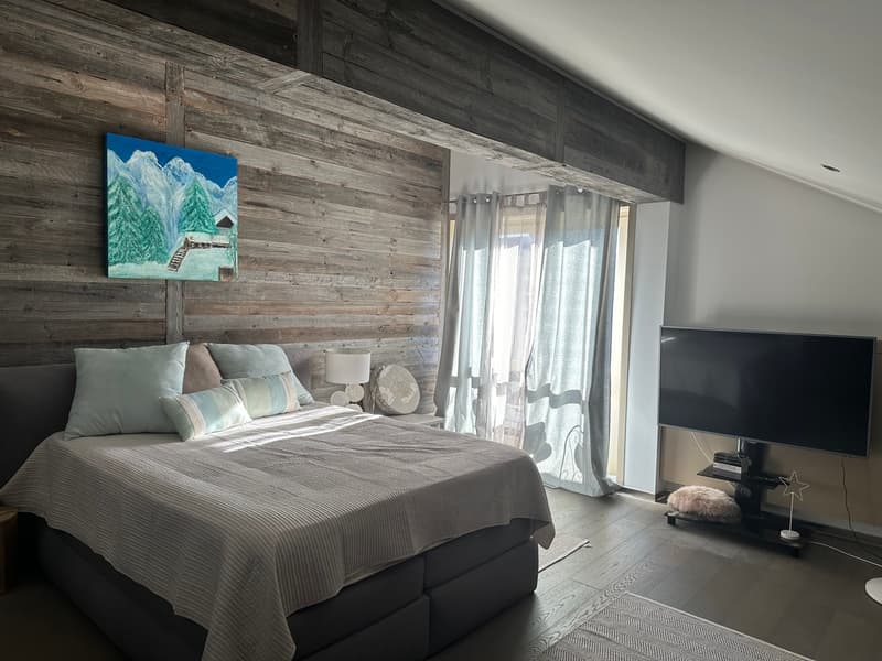 Magnifico 4,5 locali in duplex vicino al centro (7)