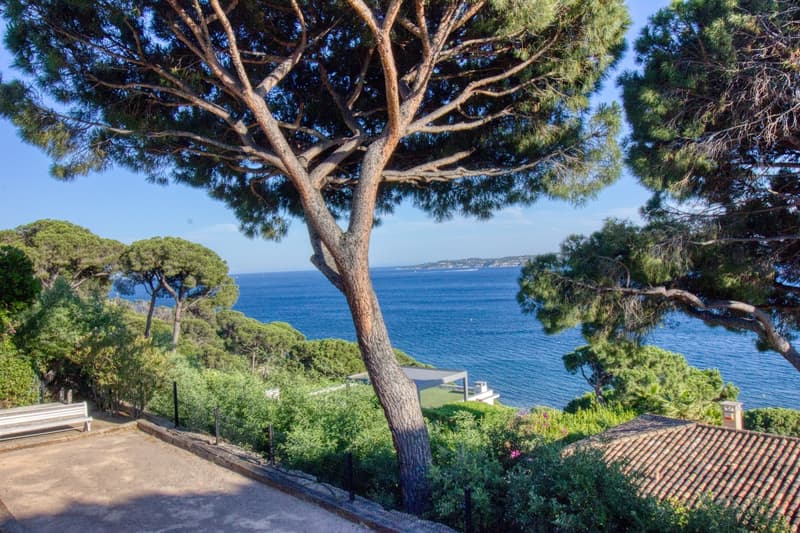 Occasione rara a Sainte-Maxime (10)