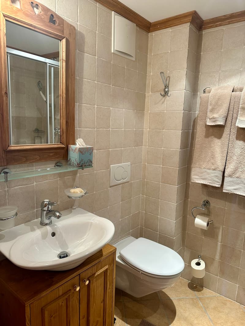 Ideale Lage für diese 4,5 Zimmer (13)