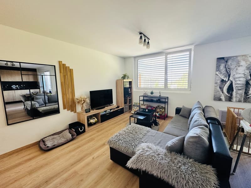 Schönes 2,5-Zimmer-Wohnung in einer neuen Residenz (2)