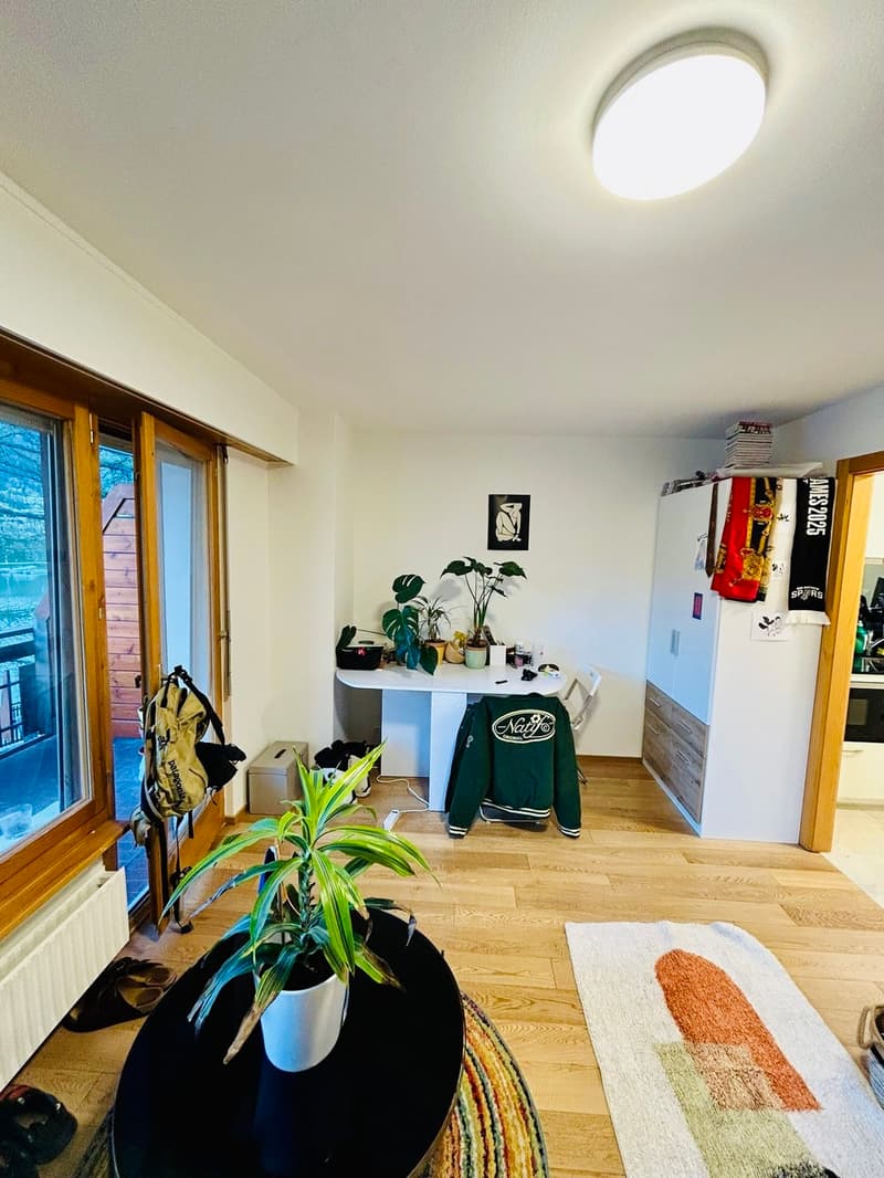 Very nice studio in the center of Crans for rent for the year (4)