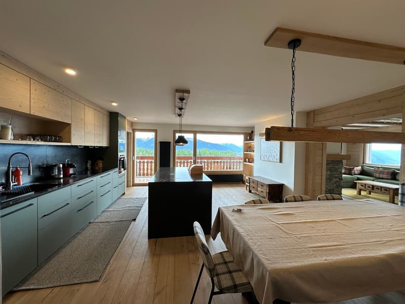 Sehr schönes 5,5-Zimmer-Apartment (5)