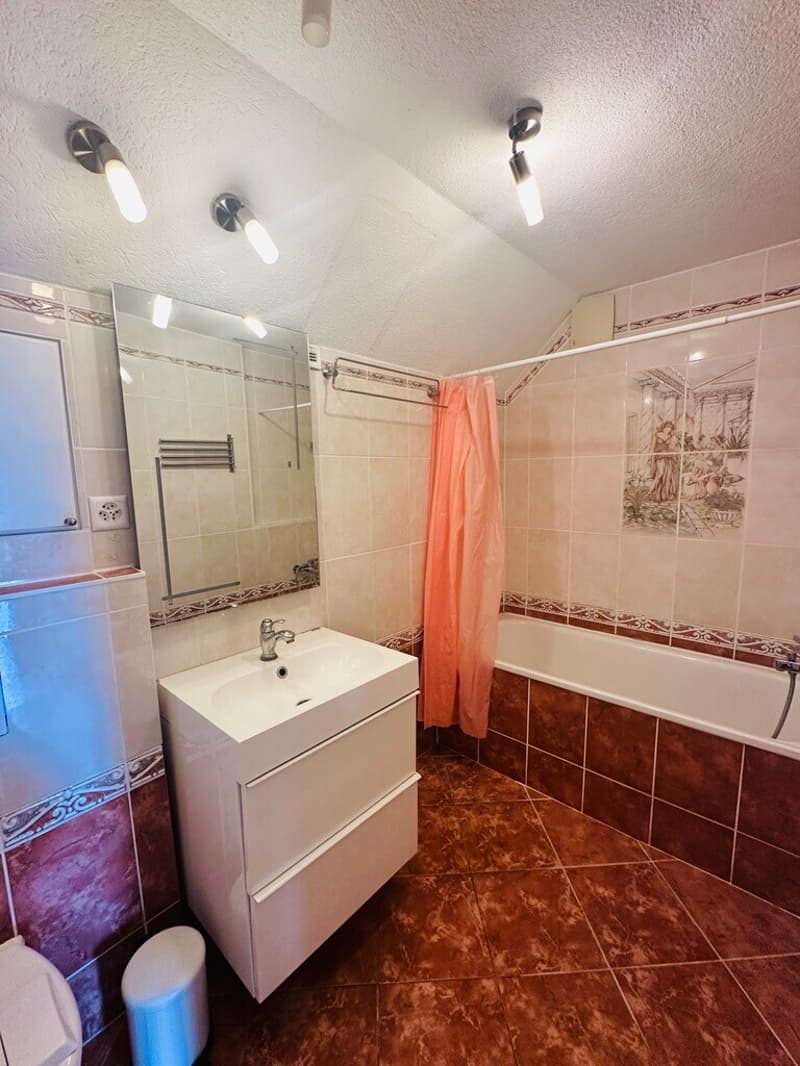 3.5 unusual rooms two steps from the center of Montana (11)