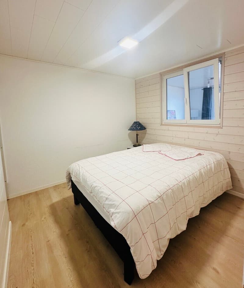 3.5 unusual rooms two steps from the center of Montana (8)