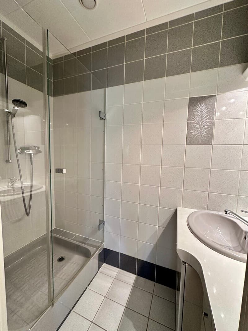 Charmanter 2,5-Zimmer-Wohnung im Zentrum von Crans (11)