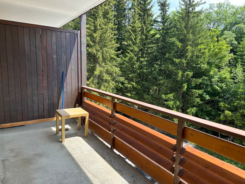 Joli studio proche du centre de Crans à louer à l'année (8)