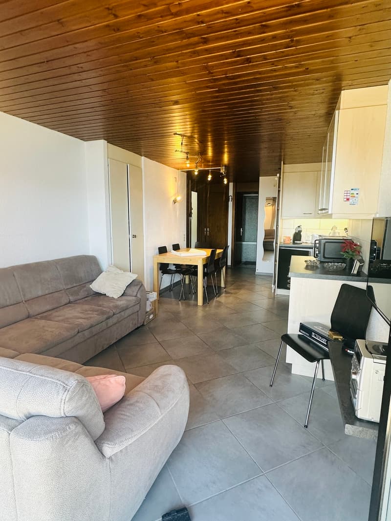Belle appartement de 3,5 pièces à louer à l'année (1)