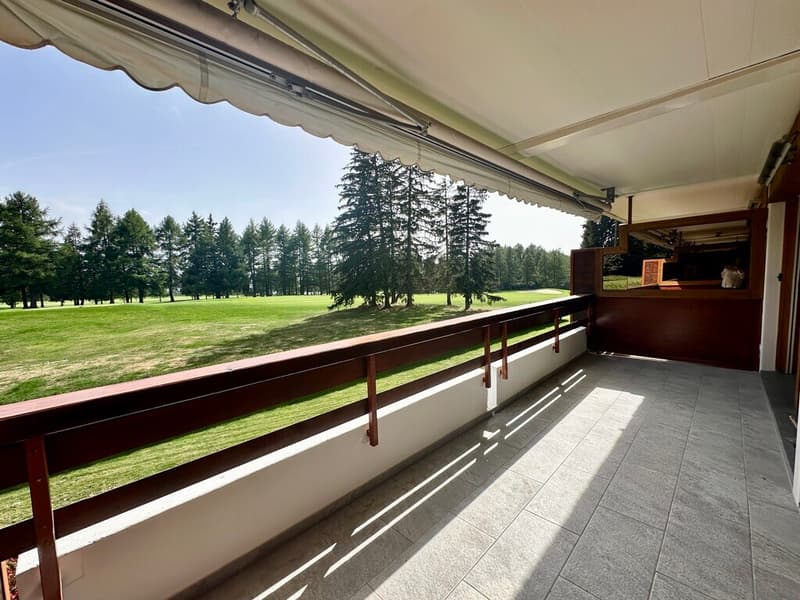 Magnifique 3,5 pièces rénové sur le golf (9)