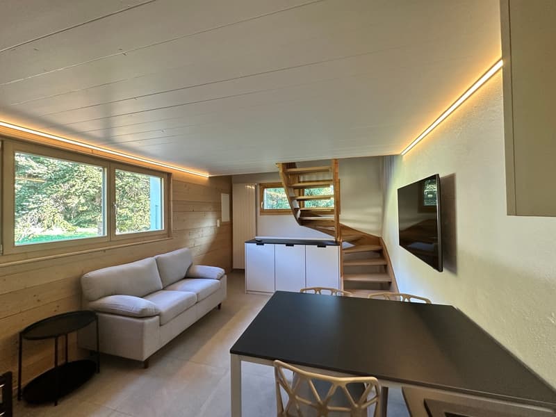 Petit appartement dans un chalet (5)