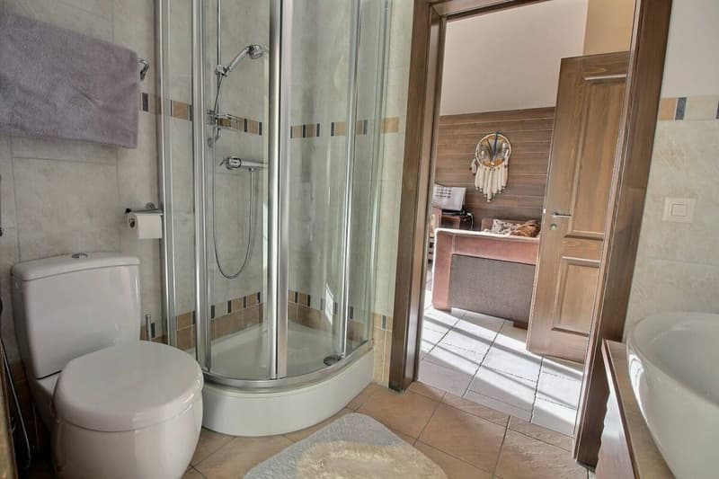Chalet 7 rooms in Anzère (13)