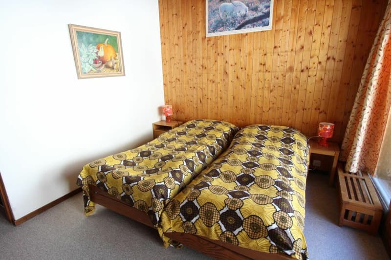 AV 15/Lion - 410 Weekly rental In Anzère (5)