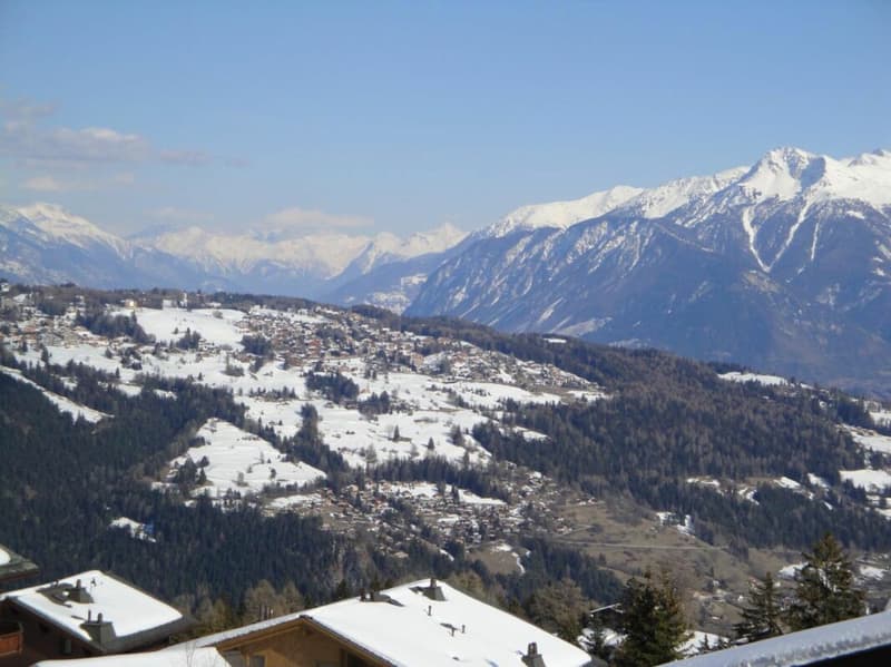 AV 15/Lion - 410 Weekly rental In Anzère (8)
