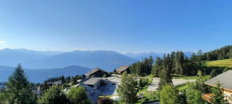 Apartment 3.5 rooms in Anzère (10)