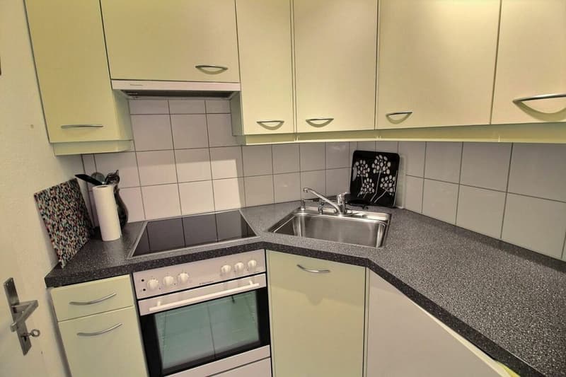 AV 15/Lion - 311 Wochendmiete (6)