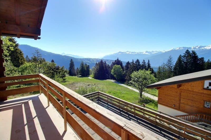 Chalet Trojka - wöchentliche Vermietung (12)