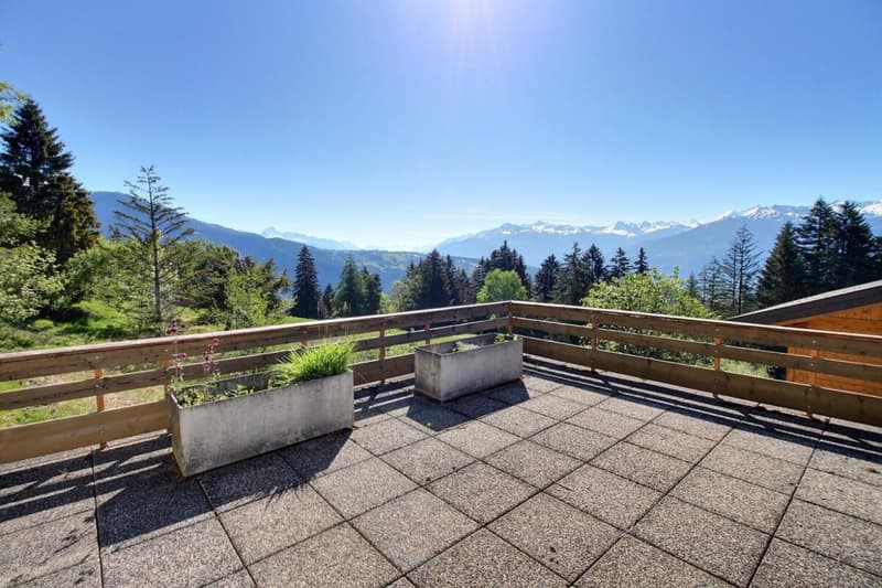 Chalet Trojka - wöchentliche Vermietung (15)