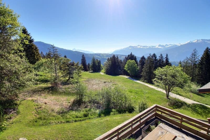 Chalet Trojka - wöchentliche Vermietung (14)