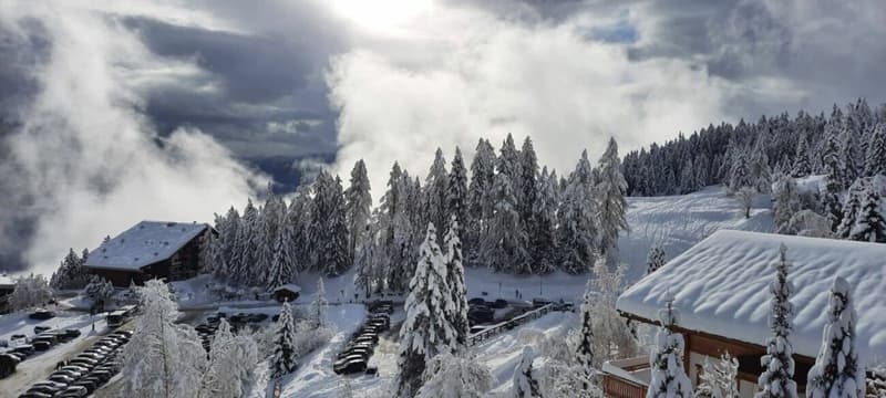 Armoises A102 - Location semaine (9)