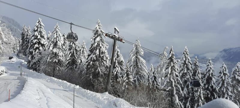 Armoises A102 - Location semaine (8)