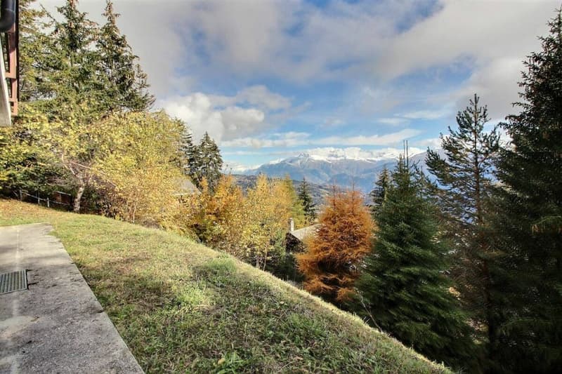 Cottage 6 Location semaine à Anzère (8)