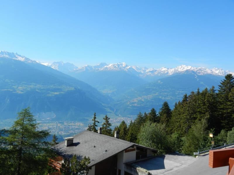 Cristal 712 Location semaine à Anzère (7)