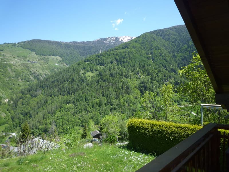 The image shows a scenic mountain landscape with dense green forests covering the hills and valleys. The sky is clear and blue, and there are some snow-capped peaks visible in the distance. The foreground includes a grassy area with some bushes and a wood