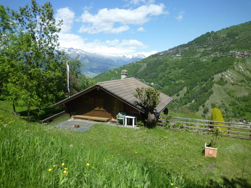 Wooden chalet-style house with a sloped roof, surrounded by lush green meadows and trees. The house has a balcony or terrace overlooking the scenic mountain landscape in the background.