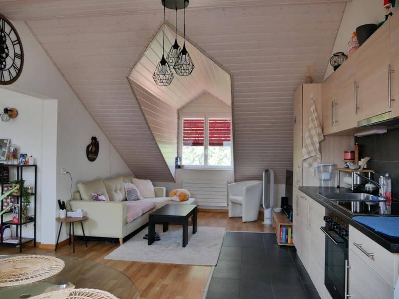 appartement combles