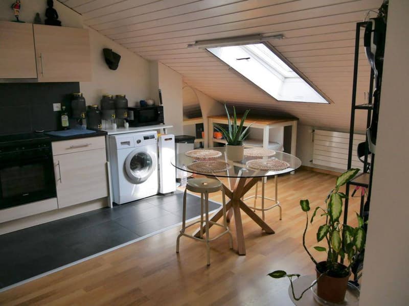 appartement combles