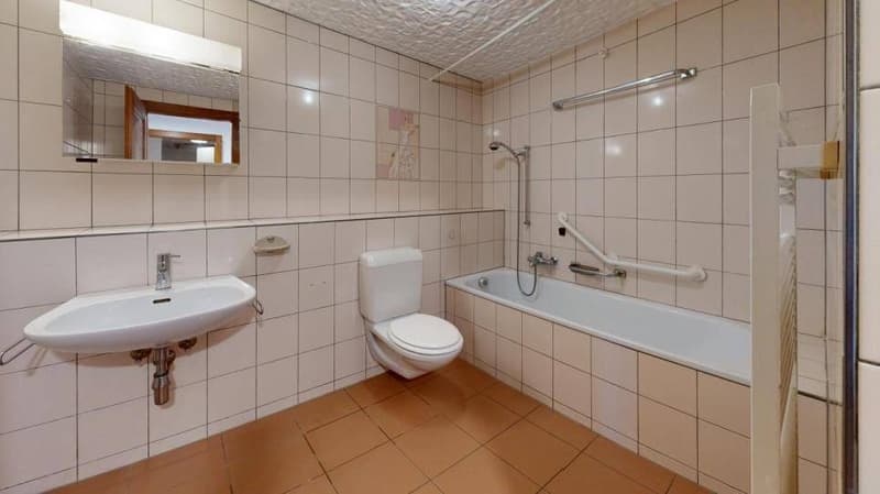 Familienvilla oder 3-Wohnungseinheiten in Baulmes (6)