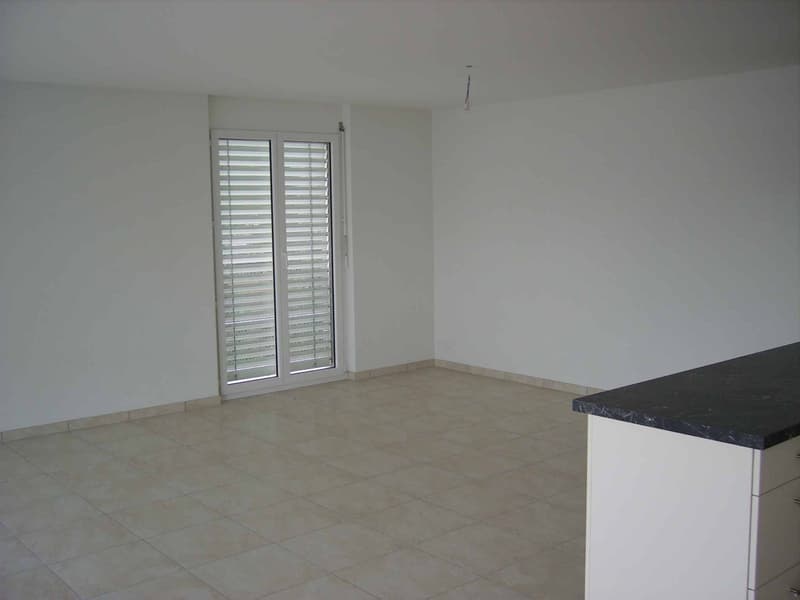 Bel appartement de 4.5 pièces avec grand balcon (13)